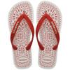 Chinelo Havaianas Top Bordado Flor Feminino Logo Metalica Dourada Oficial