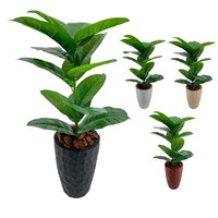 KIT COMPLETO VEM COM A PLANTINHA