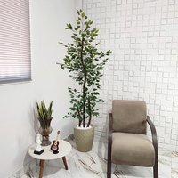 Fícus Verde 190cm: Toque natural e elegante para sua casa! ✨