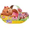Pelúcia Little Live Pets Cozy Dozy Urso Beau Com Som - Fun