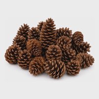 Pinha Natural Decorativa 20 Und | Enfeite Natal Artesanato Marrom