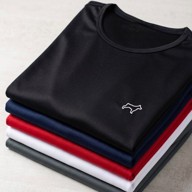 Kit 5 Camisetas Parvori Dry Fit Academia Esportes - Slim Fit