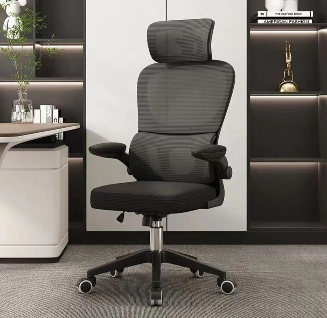 Cadeira Lombar Ergonômica Escritório Apoio Mesh Suporte Cor